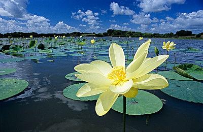 《死亡之屋2：重制版》新预告 将于8月7日发售